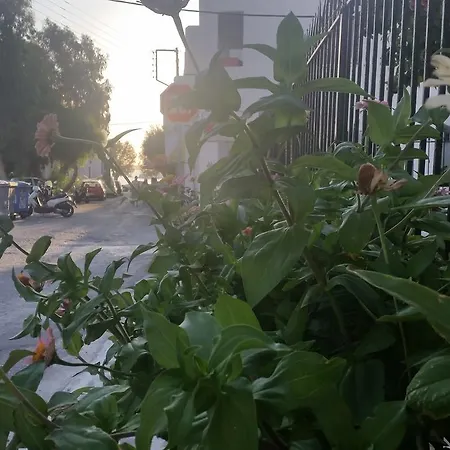 Rubini Guest house