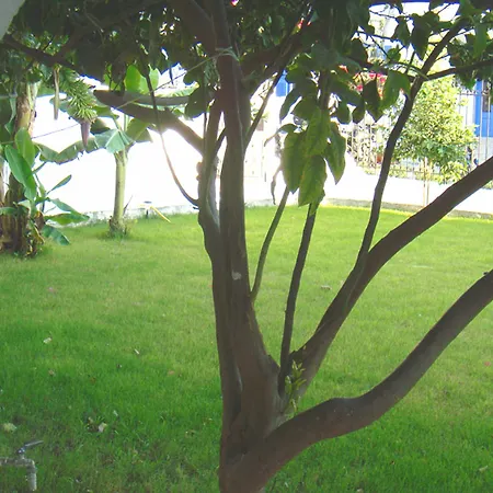 Rubini Guest house 3*
